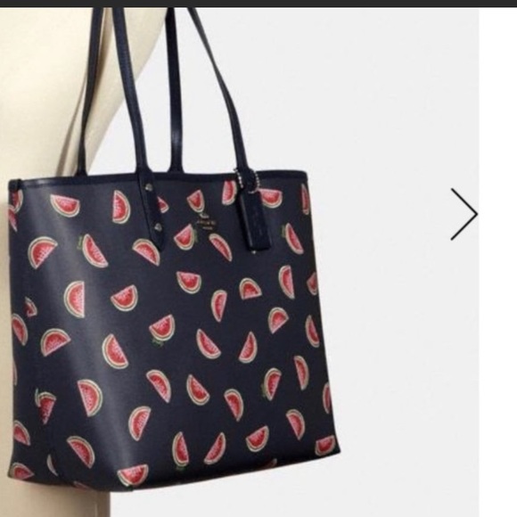 NEW!!! Coach Watermelon set - Picture 9 of 15